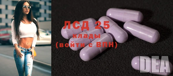 МДПВ Богородицк