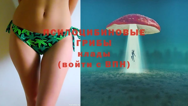амфетамин Белокуриха