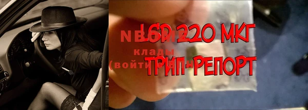 сатива Белоозёрский