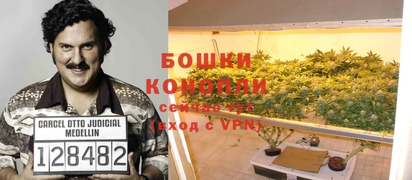 МДПВ Богородицк