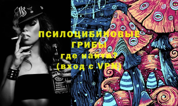 шишки Богданович